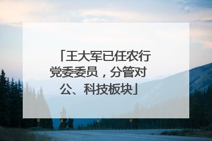 王大军已任农行党委委员，分管对公、科技板块