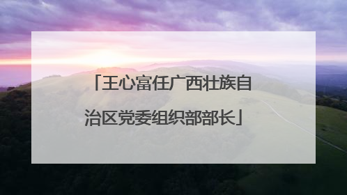 王心富任广西壮族自治区党委组织部部长