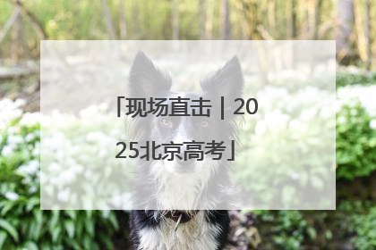 现场直击｜2025北京高考