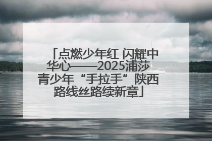 点燃少年红 闪耀中华心——2025浦莎青少年“手拉手”陕西路线丝路续新章