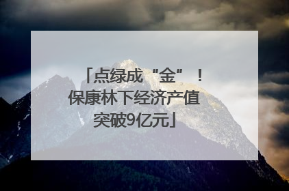 点绿成“金”！保康林下经济产值突破9亿元