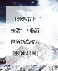 炒鸡节上“整活”！临沂这所新高校为何如此出圈