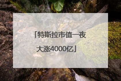 特斯拉市值一夜大涨4000亿