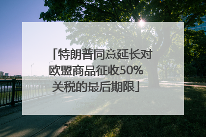 特朗普同意延长对欧盟商品征收50%关税的最后期限