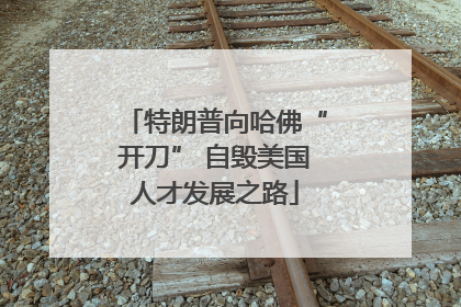 特朗普向哈佛“开刀” 自毁美国人才发展之路