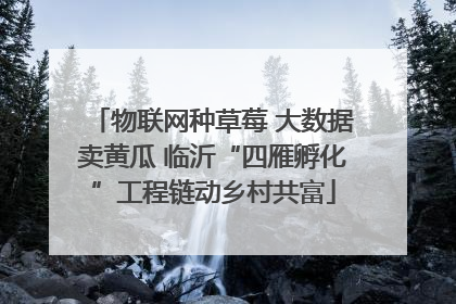 物联网种草莓 大数据卖黄瓜 临沂“四雁孵化”工程链动乡村共富