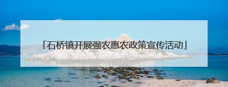 石桥镇开展强农惠农政策宣传活动