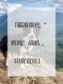 瞄准取代“阵风”战机，印度官宣