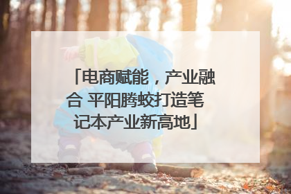 电商赋能，产业融合 平阳腾蛟打造笔记本产业新高地