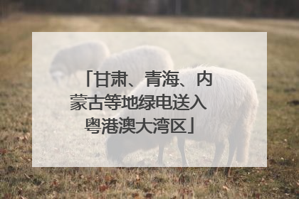甘肃、青海、内蒙古等地绿电送入粤港澳大湾区