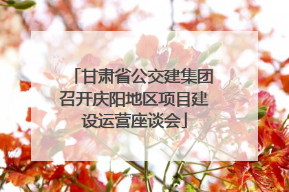 甘肃省公交建集团召开庆阳地区项目建设运营座谈会