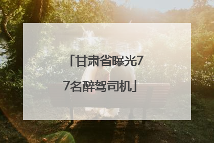 甘肃省曝光77名醉驾司机