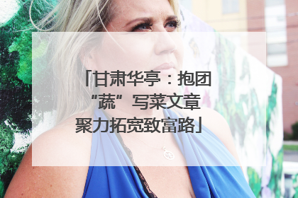 甘肃华亭：抱团“蔬”写菜文章 聚力拓宽致富路