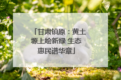 甘肃镇原：黄土塬上绘新绿 生态惠民谱华章