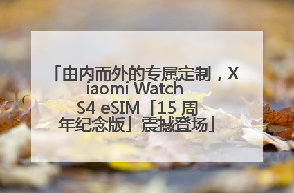 由内而外的专属定制，Xiaomi Watch S4 eSIM「15 周年纪念版」震撼登场