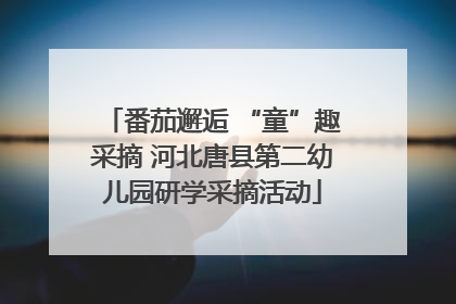 番茄邂逅 “童”趣采摘 河北唐县第二幼儿园研学采摘活动