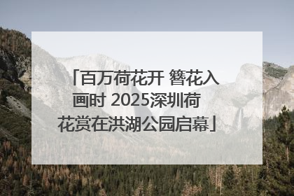 百万荷花开 簪花入画时 2025深圳荷花赏在洪湖公园启幕