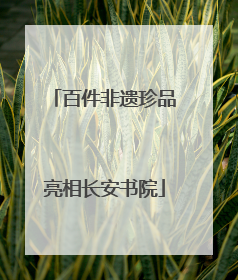 百件非遗珍品亮相长安书院