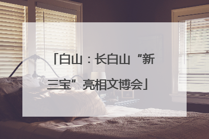 白山：长白山“新三宝”亮相文博会