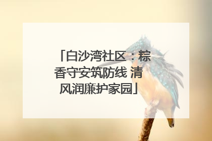白沙湾社区：粽香守安筑防线 清风润廉护家园