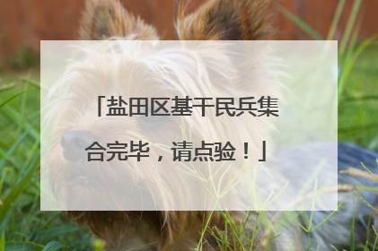 盐田区基干民兵集合完毕，请点验！