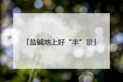 盐碱地上好“丰”景