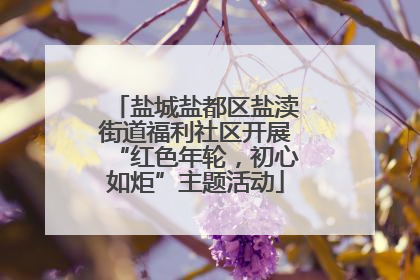 盐城盐都区盐渎街道福利社区开展“红色年轮，初心如炬”主题活动
