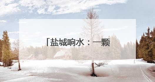 盐城响水：一颗西兰花如何变成“致富花”？