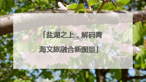 盐湖之上，解码青海文旅融合新图景
