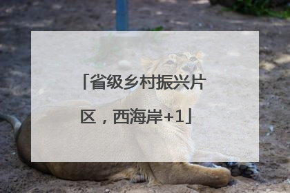 省级乡村振兴片区，西海岸+1
