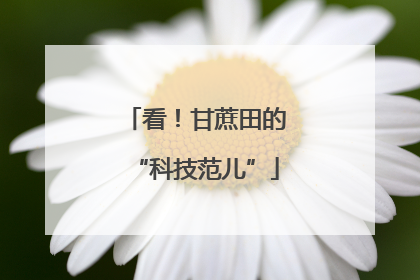 看！甘蔗田的“科技范儿”
