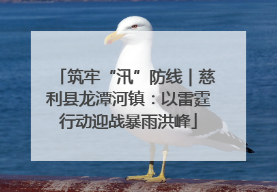 筑牢“汛”防线｜慈利县龙潭河镇：以雷霆行动迎战暴雨洪峰