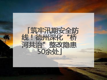 筑牢汛期安全防线！德州深化“桥河共治”整改隐患50余处