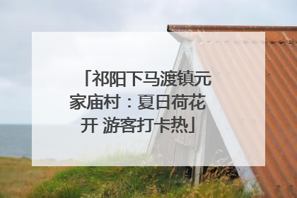 祁阳下马渡镇元家庙村：夏日荷花开 游客打卡热