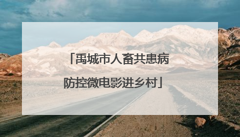 禹城市人畜共患病防控微电影进乡村