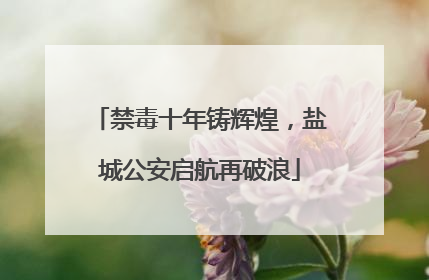 禁毒十年铸辉煌，盐城公安启航再破浪