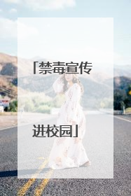 禁毒宣传进校园