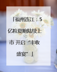 福州连江：5亿粒夏鲍陆续上市 开启“丰收盛宴”