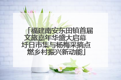 福建南安东田镇首届文旅嘉年华盛大启幕 圩日市集与杨梅采摘点燃乡村振兴新动能