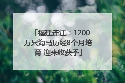 福建连江：1200万只海马历经8个月培育 迎来收获季