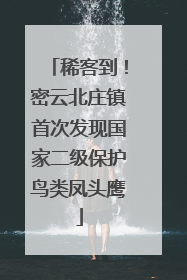 稀客到！密云北庄镇首次发现国家二级保护鸟类凤头鹰