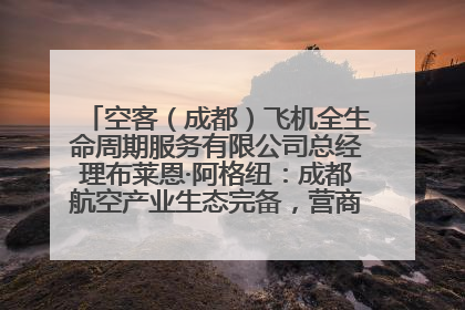 空客（成都）飞机全生命周期服务有限公司总经理布莱恩·阿格纽：成都航空产业生态完备，营商环境优势显著