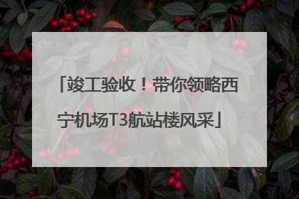 竣工验收！带你领略西宁机场T3航站楼风采