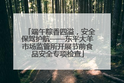 端午粽香四溢，安全保驾护航——东平大羊市场监管所开展节前食品安全专项检查