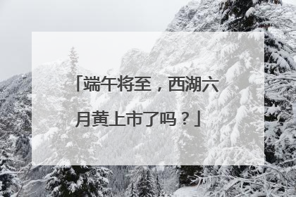 端午将至，西湖六月黄上市了吗？