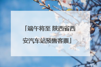 端午将至 陕西省西安汽车站预售客票