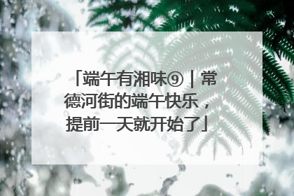 端午有湘味⑨｜常德河街的端午快乐，提前一天就开始了