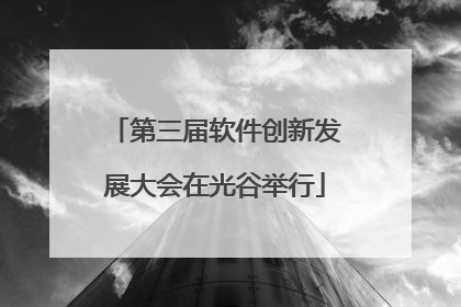 第三届软件创新发展大会在光谷举行