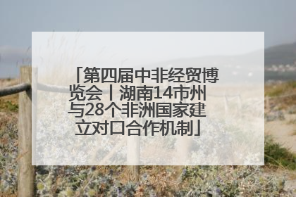 第四届中非经贸博览会丨湖南14市州与28个非洲国家建立对口合作机制