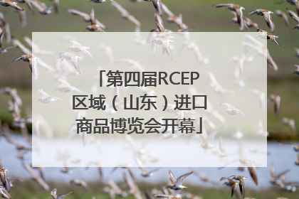 第四届RCEP区域（山东）进口商品博览会开幕